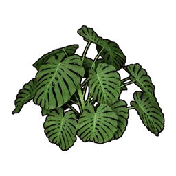 Arbusto tropical falso