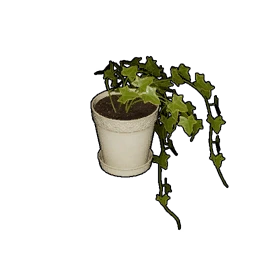Planta de interior en maceta