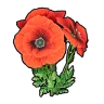 Beautiful Flower