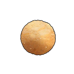 Anfängerköder