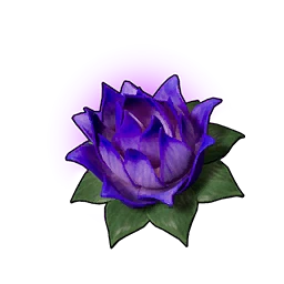 Porter un lotus (S)