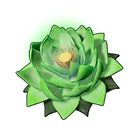 Lotus de vie (L)