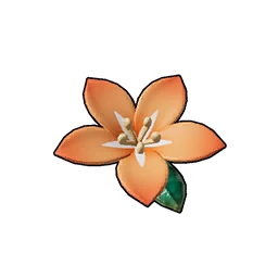 Accesorio Lyleen