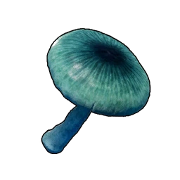 Geheimnisvoller Pilz
