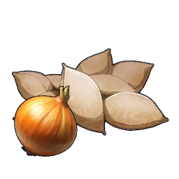 Semillas de cebolla