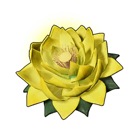 耐力蓮花 (L)