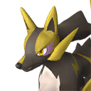 Rayhound